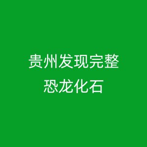 贵州发现完整恐龙化石
