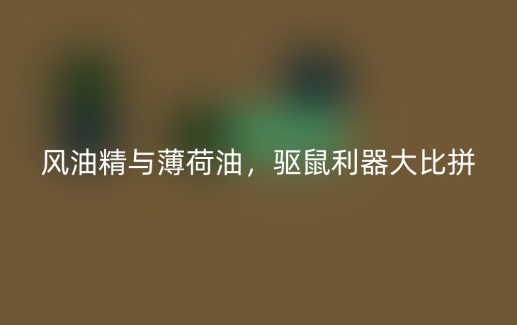 风油精与薄荷油，驱鼠利器大比拼