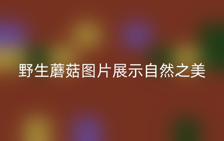 野生蘑菇图片展示自然之美