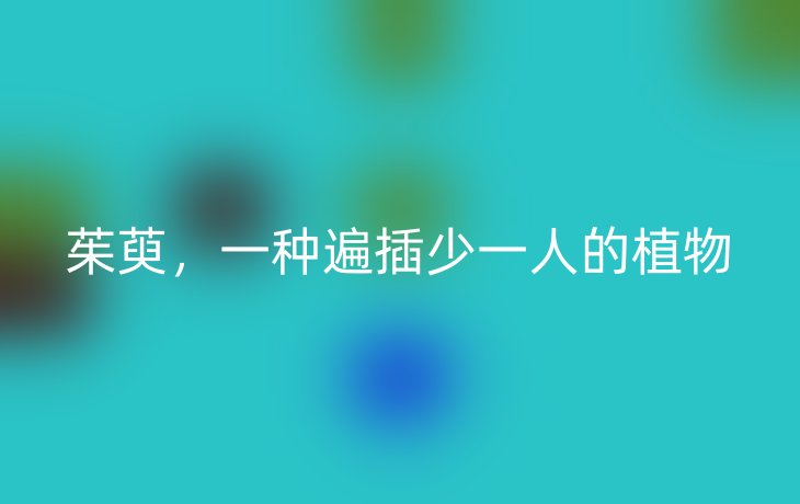 茱萸,一种遍插少一人的植物