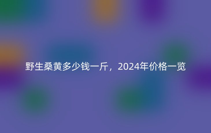 野生桑黄多少钱一斤,2024年价格一览