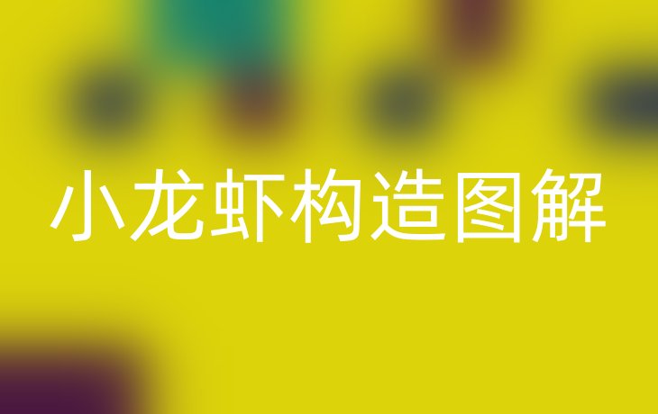 小龙虾构造图解