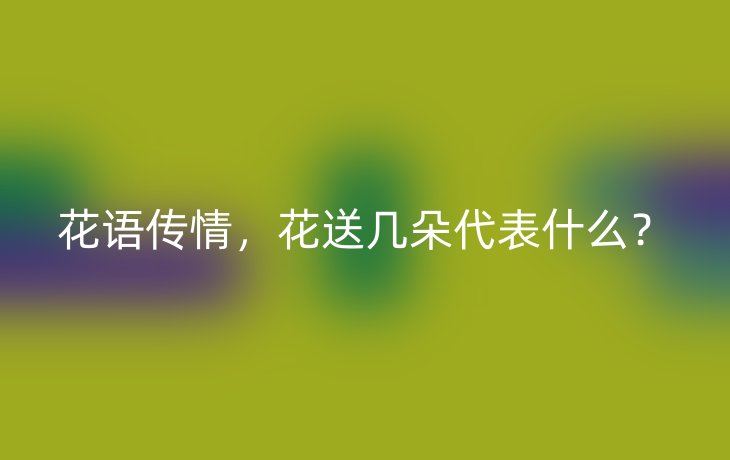 花语传情，花送几朵代表什么？