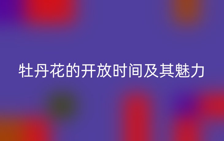 牡丹花的开放时间及其魅力