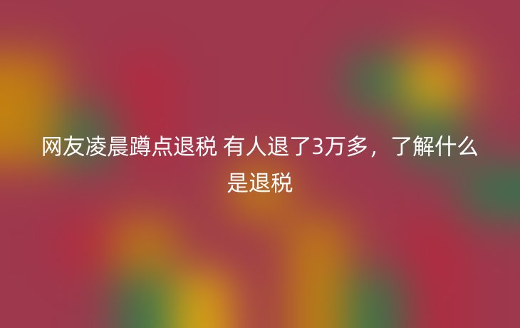 网友凌晨蹲点退税 有人退了3万多，了解什么是退税