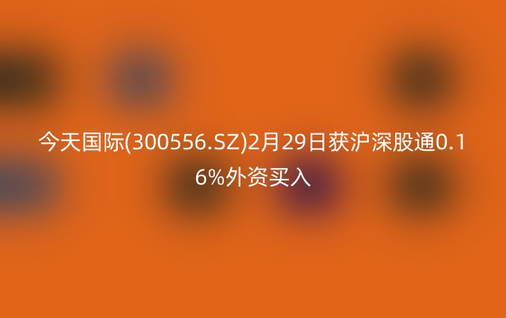 今天国际(300556.SZ)2月29日获沪深股通0.16%外资买入