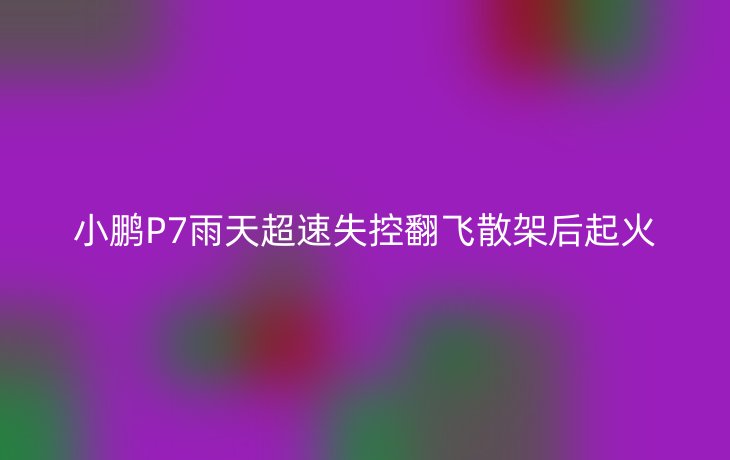 小鹏P7雨天超速失控翻飞散架后起火