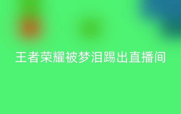 王者荣耀被梦泪踢出直播间