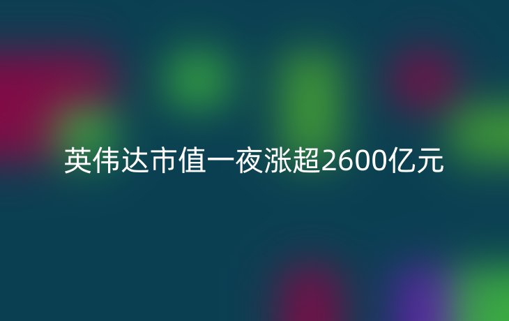 英伟达市值一夜涨超2600亿元