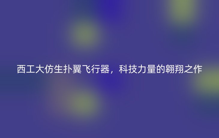 西工大仿生扑翼飞行器，科技力量的翱翔之作