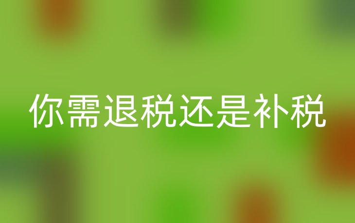 你需退税还是补税