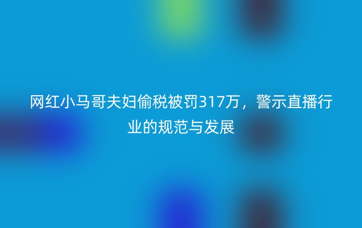 网红小马哥夫妇偷税被罚317万,警示直播行业的规范与发展