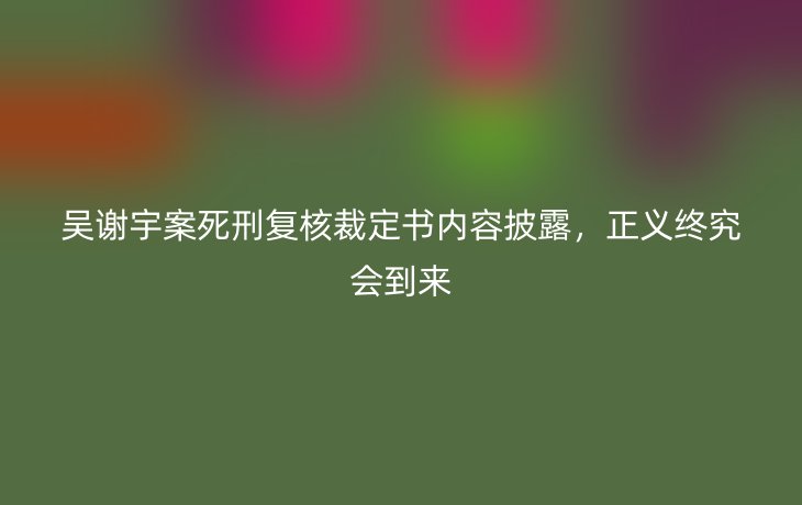 吴谢宇案死刑复核裁定书内容披露,正义终究会到来