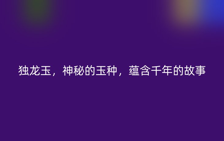 独龙玉，神秘的玉种，蕴含千年的故事