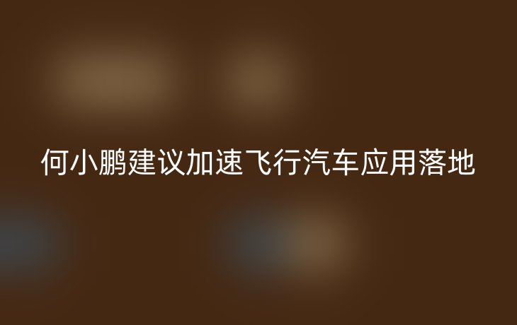 何小鹏建议加速飞行汽车应用落地