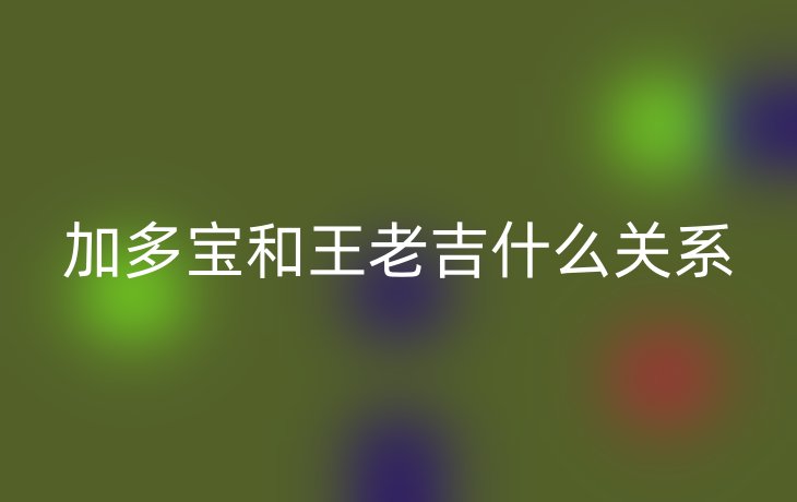 加多宝和王老吉什么关系