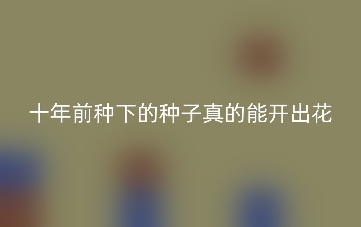 十年前种下的种子真的能开出花