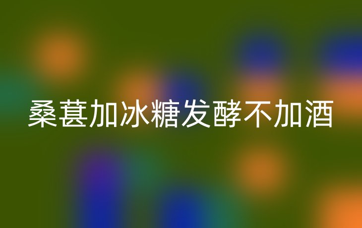 桑葚加冰糖发酵不加酒