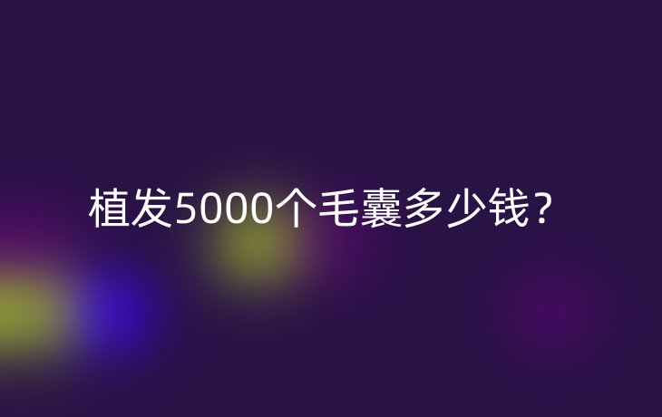 植发5000个毛囊多少钱?