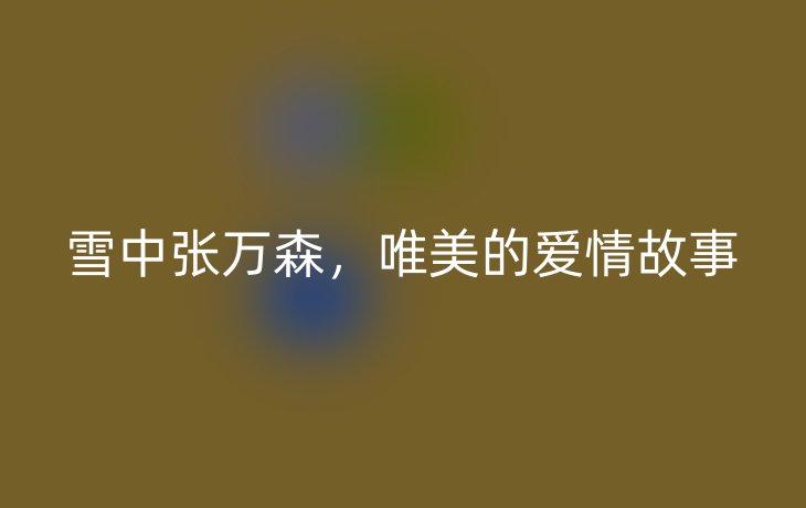 雪中张万森,唯美的爱情故事