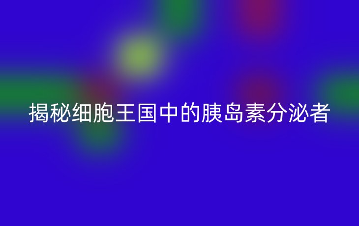 揭秘细胞王国中的胰岛素分泌者