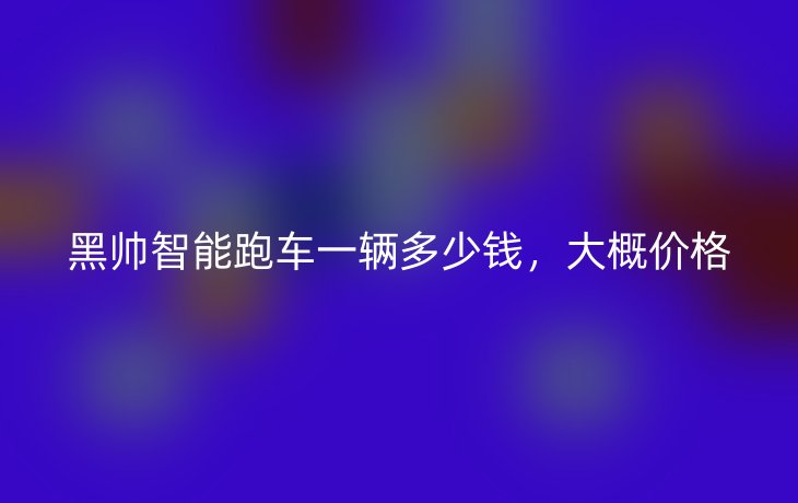 黑帅智能跑车一辆多少钱,大概价格