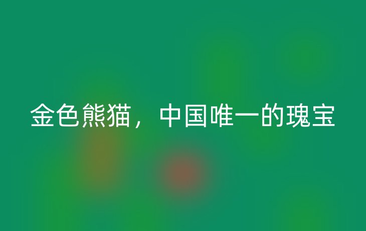 金色熊猫,中国唯一的瑰宝