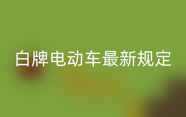 白牌电动车最新规定