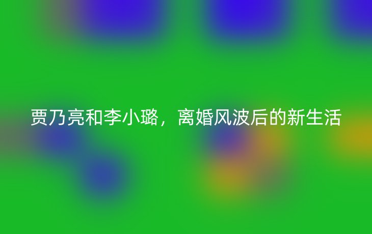 贾乃亮和李小璐，离婚风波后的新生活