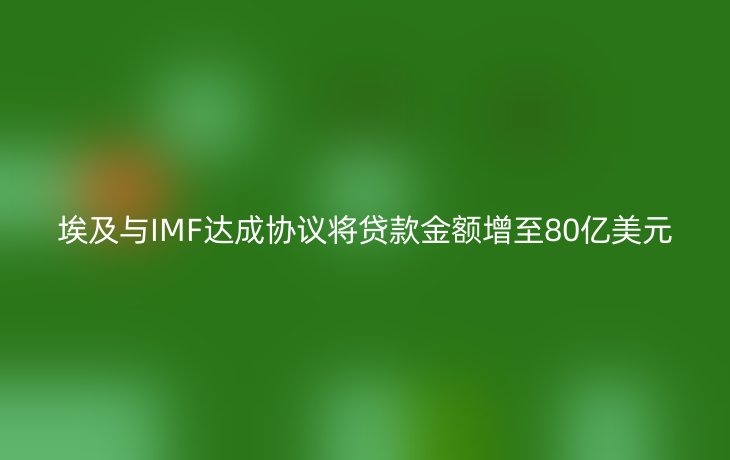 埃及与IMF达成协议将贷款金额增至80亿美元