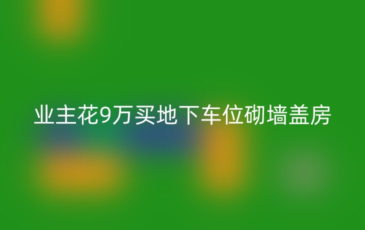 业主花9万买地下车位砌墙盖房
