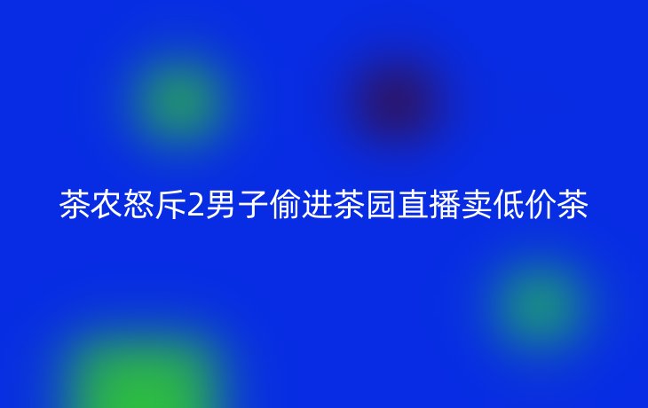茶农怒斥2男子偷进茶园直播卖低价茶