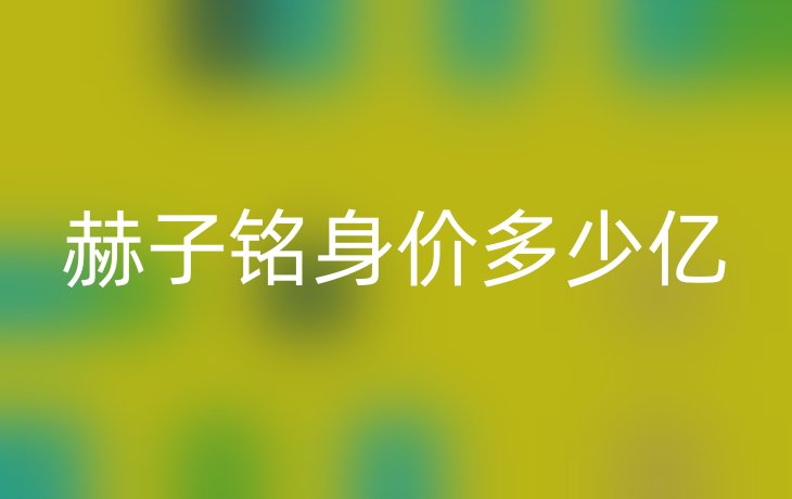 赫子铭身价多少亿