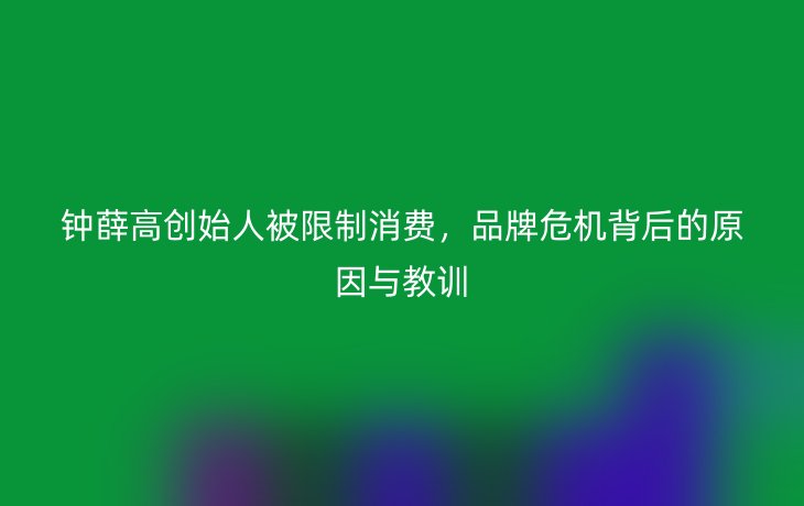 钟薛高创始人被限制消费,品牌危机背后的原因与教训