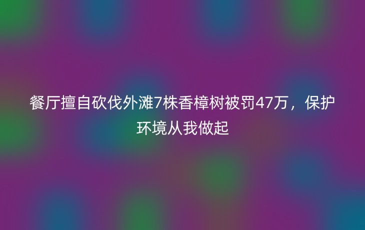 餐厅擅自砍伐外滩7株香樟树被罚47万,保护环境从我做起