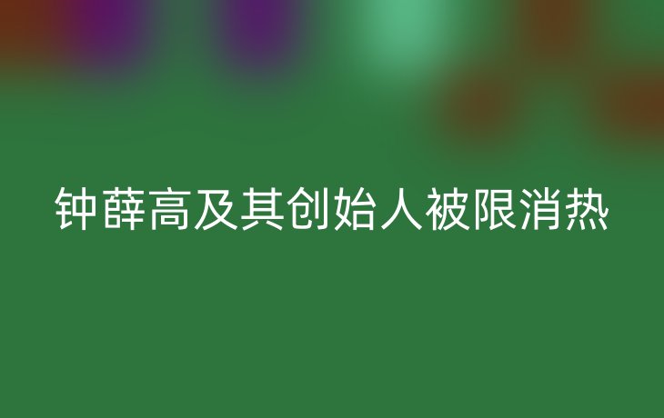 钟薛高及其创始人被限消热