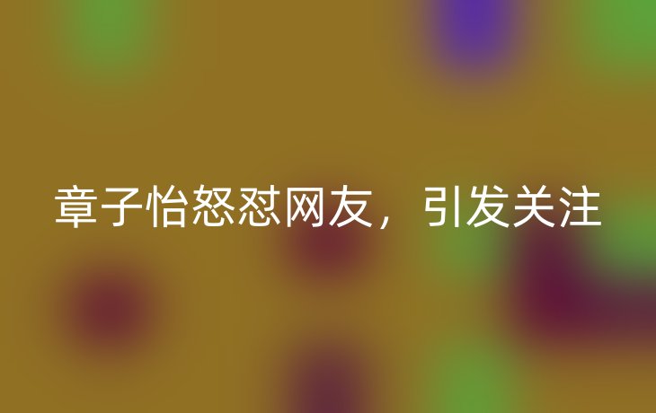 章子怡怒怼网友,引发关注