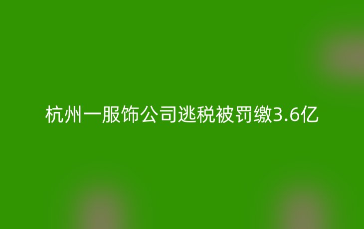 杭州一服饰公司逃税被罚缴3.6亿