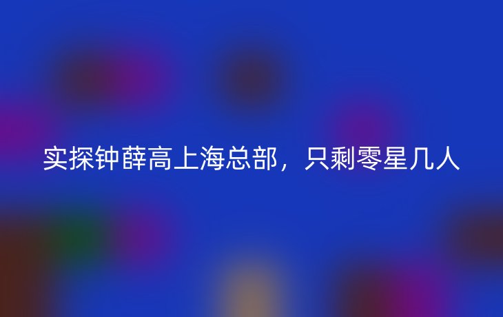 实探钟薛高上海总部,只剩零星几人