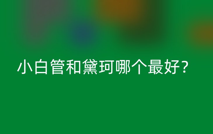 小白管和黛珂哪个最好？