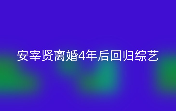 安宰贤离婚4年后回归综艺