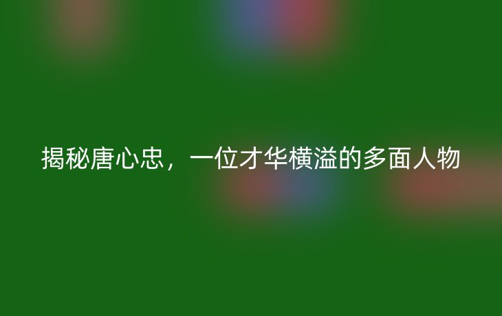 揭秘唐心忠,一位才华横溢的多面人物