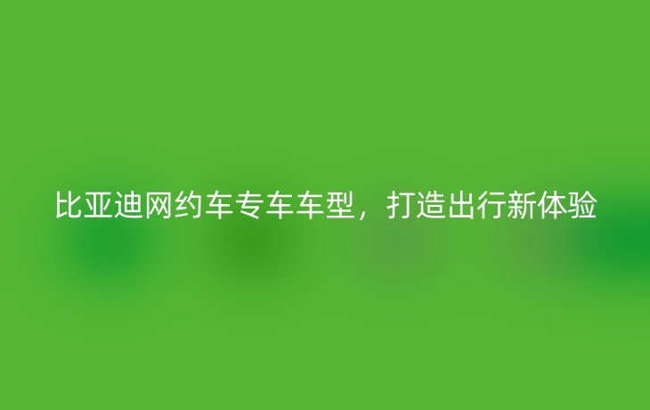 比亚迪网约车专车车型，打造出行新体验