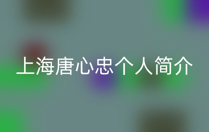 上海唐心忠个人简介