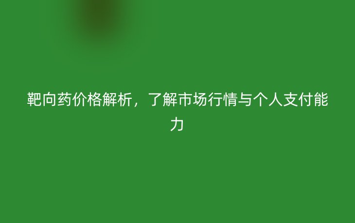 靶向药价格解析,了解市场行情与个人支付能力