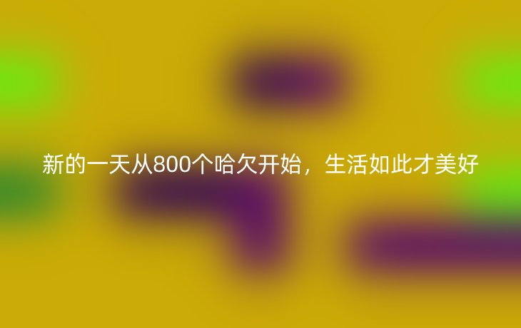 新的一天从800个哈欠开始,生活如此才美好