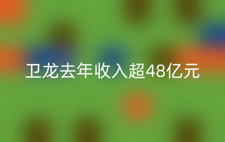 卫龙去年收入超48亿元