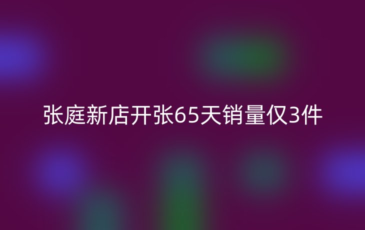 张庭新店开张65天销量仅3件