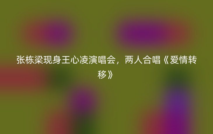 张栋梁现身王心凌演唱会，两人合唱《爱情转移》
