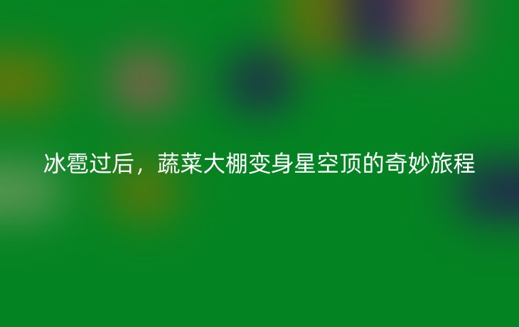 冰雹过后，蔬菜大棚变身星空顶的奇妙旅程